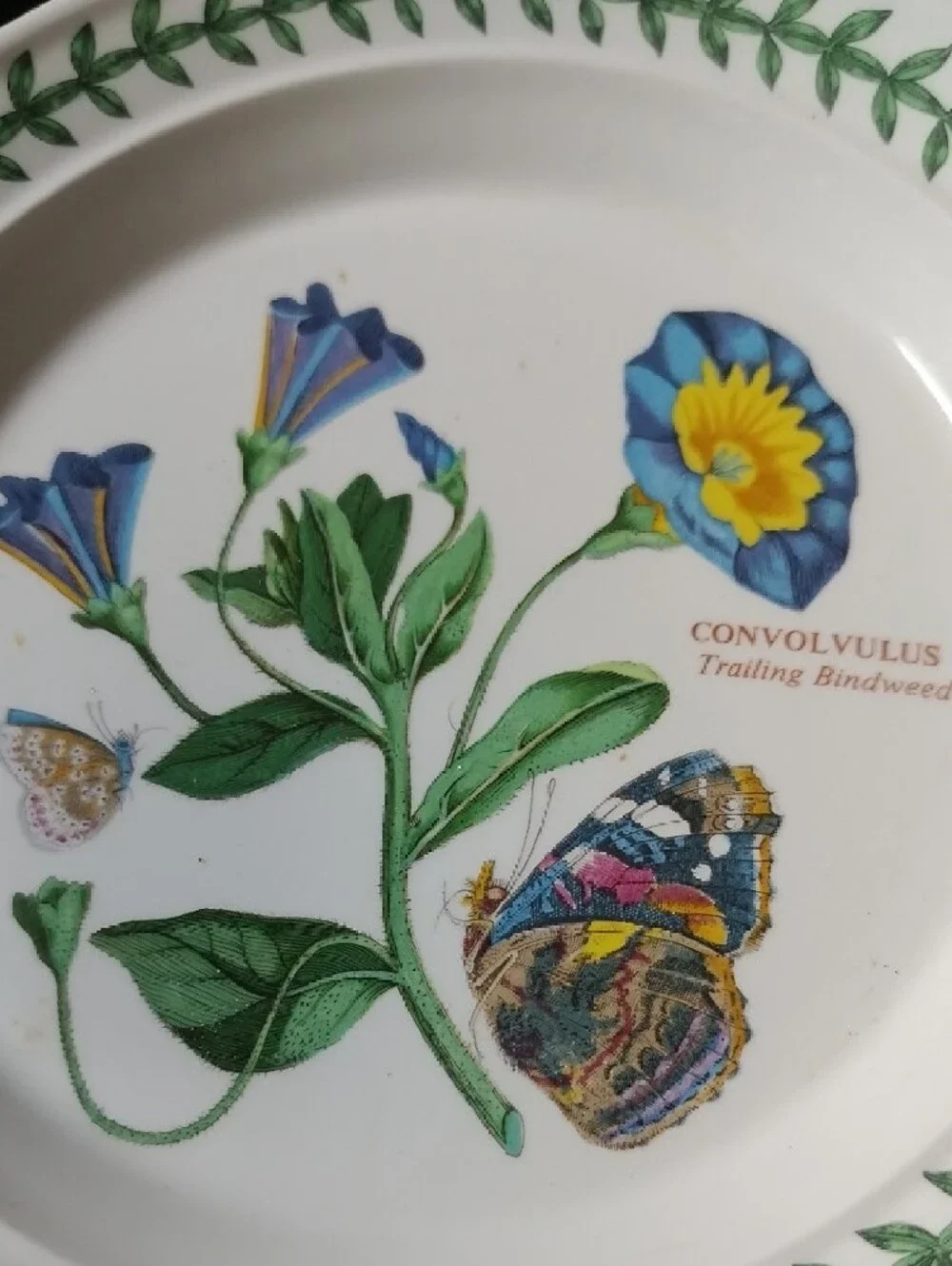 Port Meirion Botanical Convolvulus Floral Small Plate,7 Inch